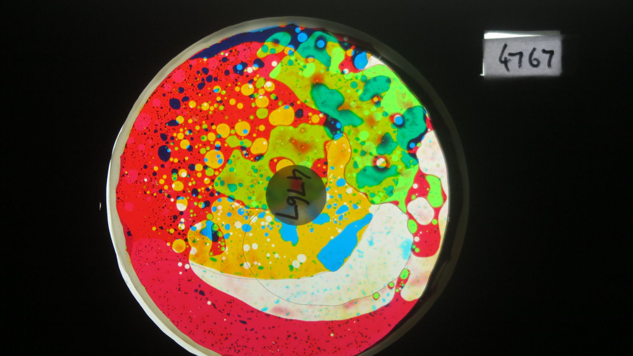 BV4767 bubble vision oil wheel